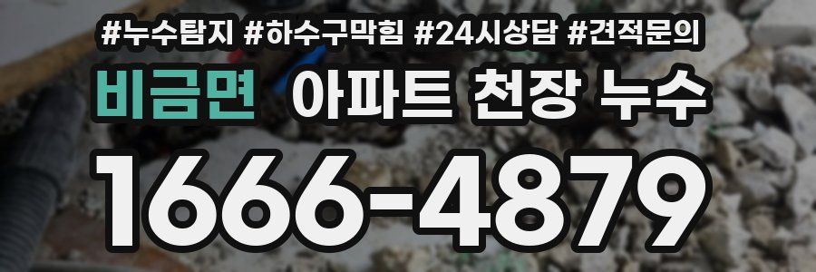 비금면 아파트 천장 누수