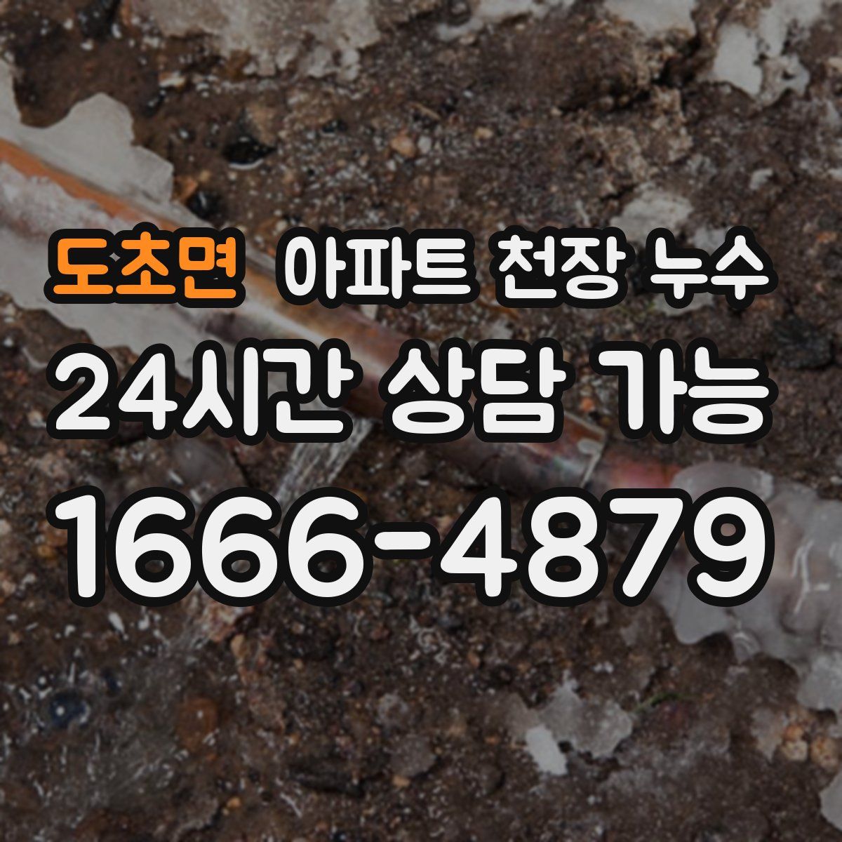 도초면 아파트 천장 누수