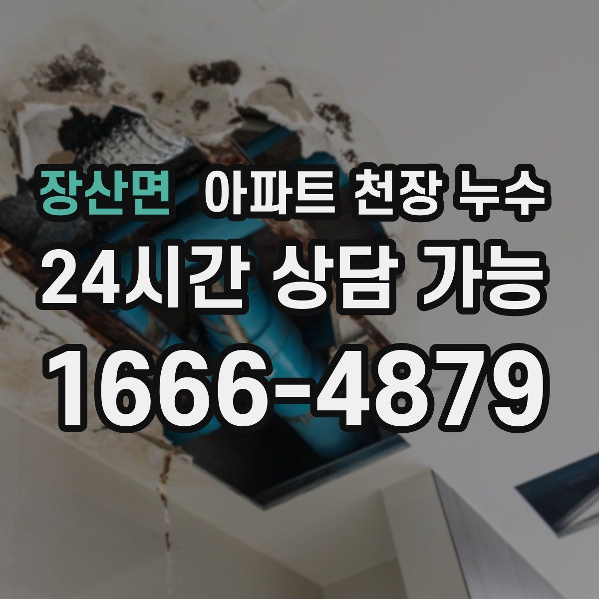 장산면 아파트 천장 누수