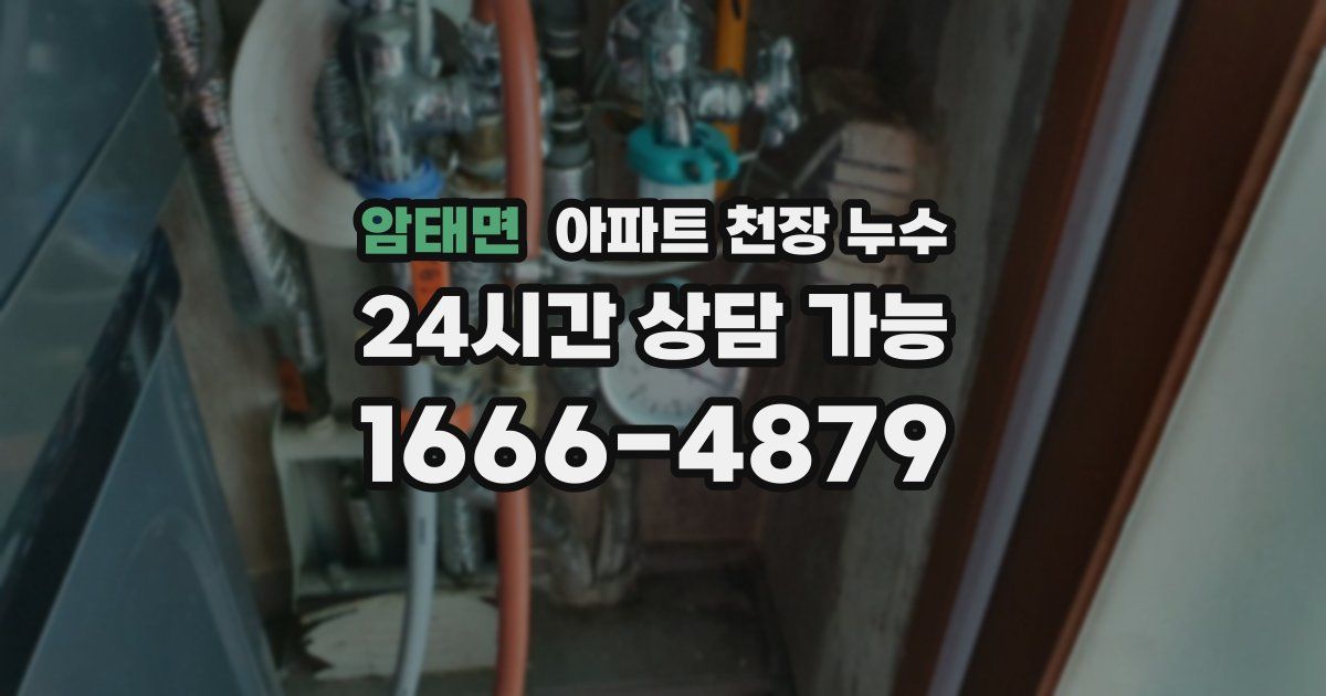 암태면 아파트 천장 누수