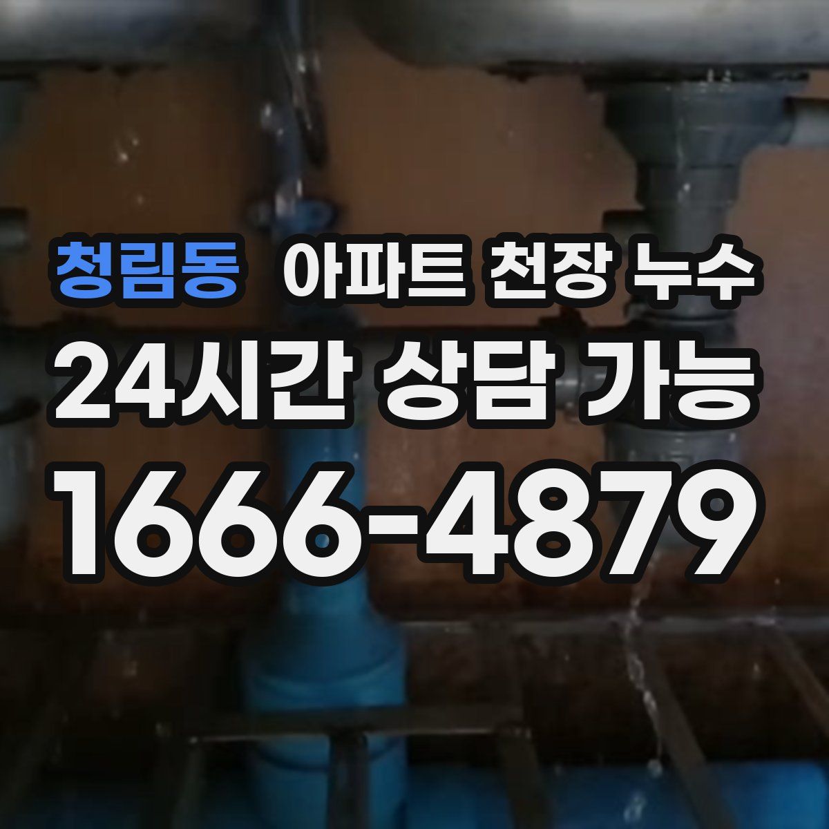 청림동 아파트 천장 누수