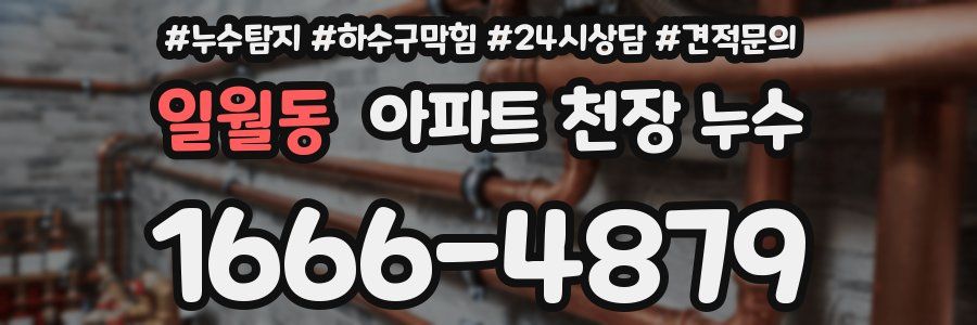 일월동 아파트 천장 누수