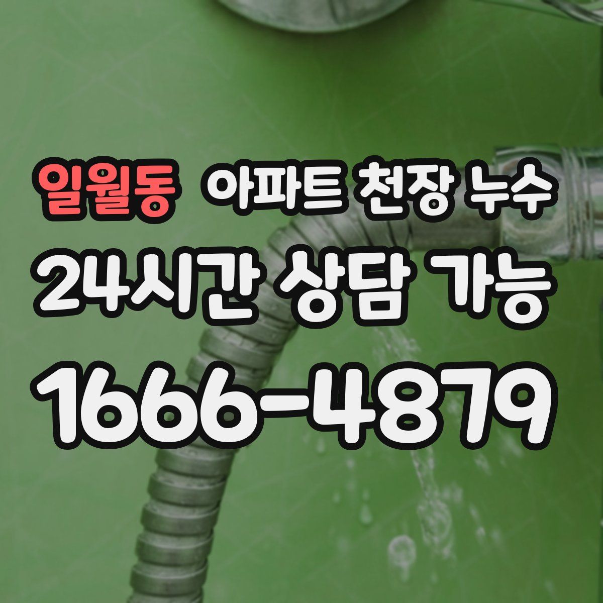 일월동 아파트 천장 누수