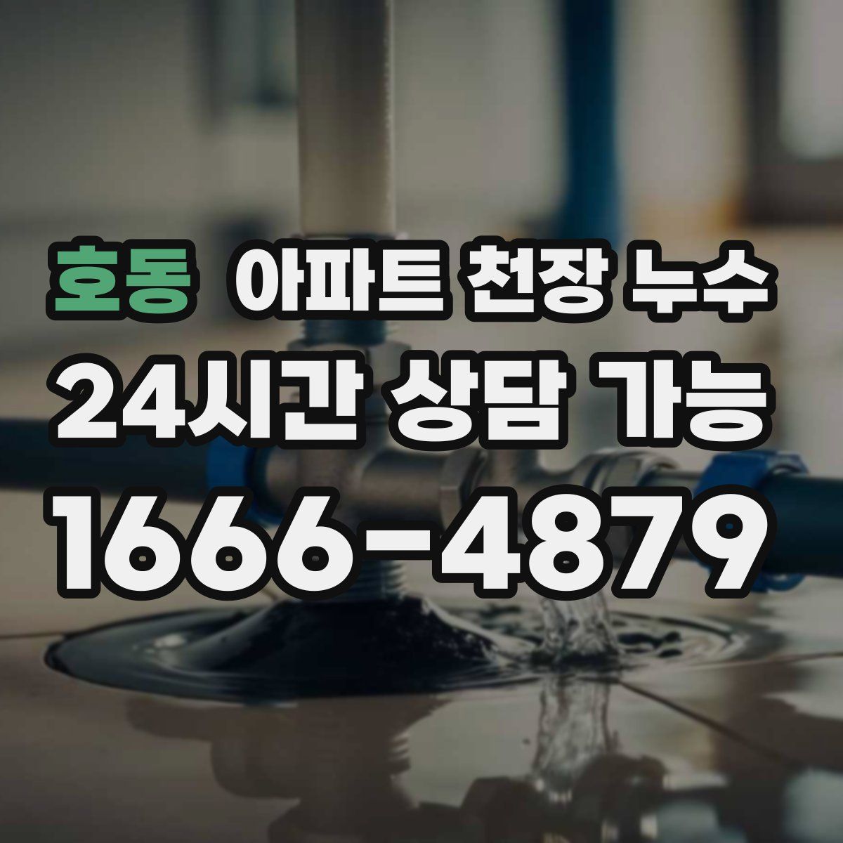 호동 아파트 천장 누수