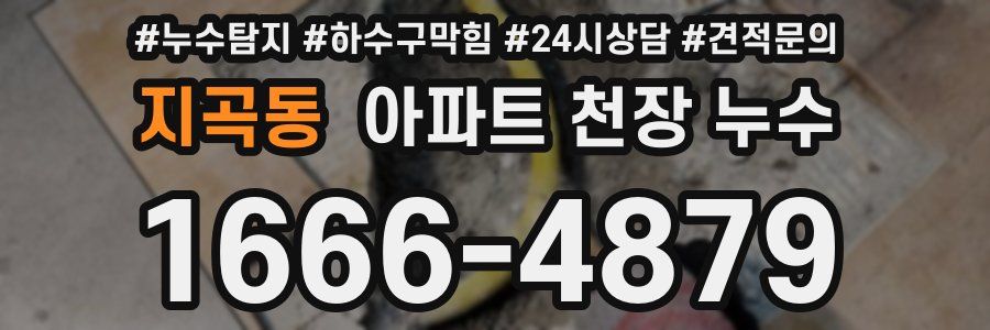 지곡동 아파트 천장 누수