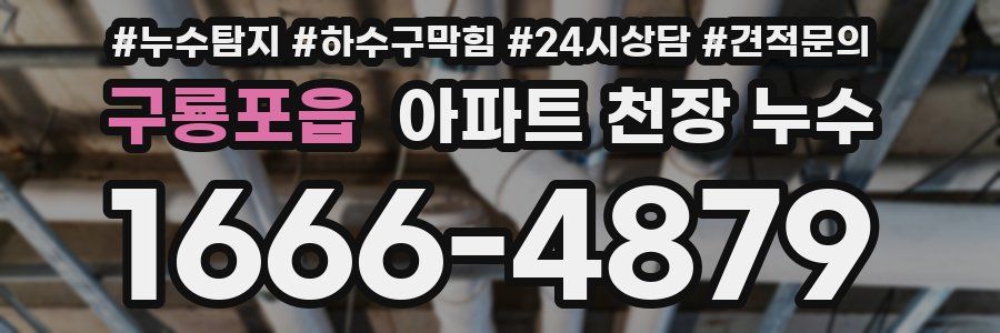 구룡포읍 아파트 천장 누수