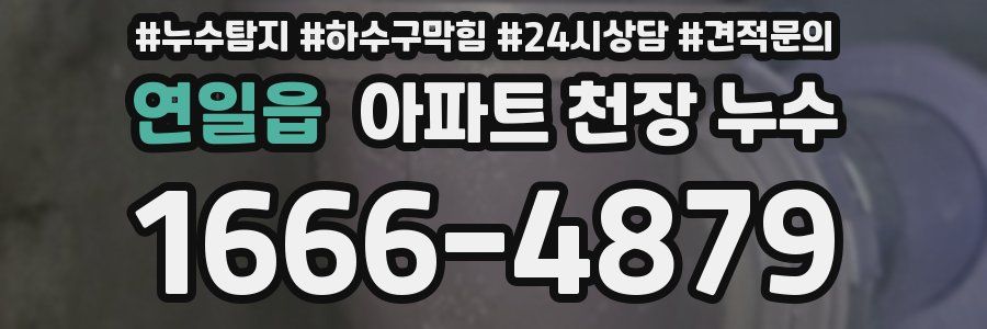 연일읍 아파트 천장 누수
