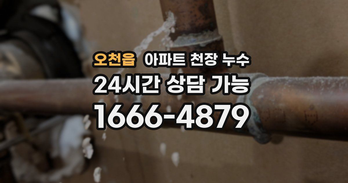 오천읍 아파트 천장 누수