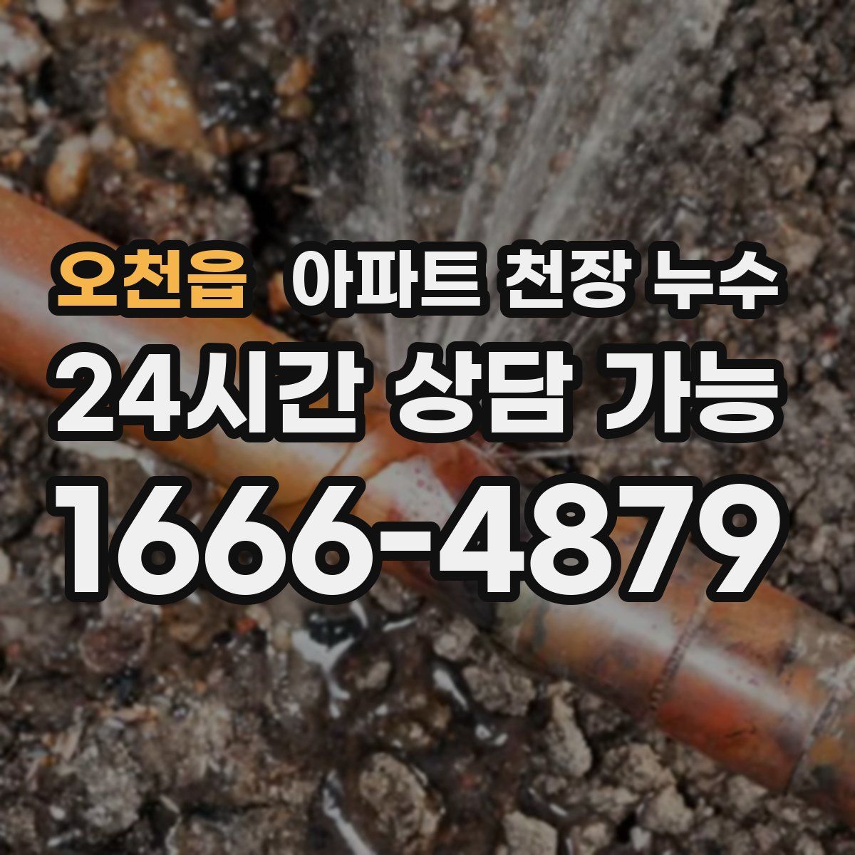 오천읍 아파트 천장 누수