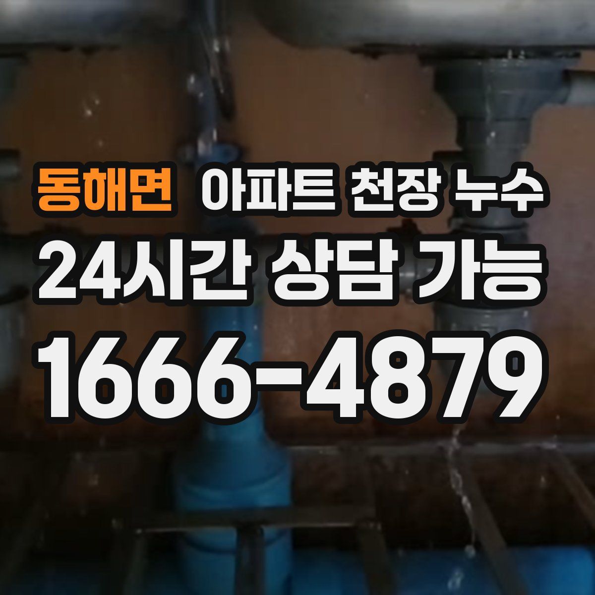 동해면 아파트 천장 누수