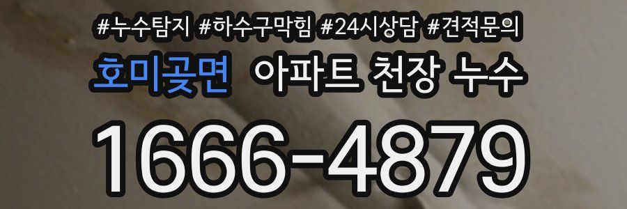 호미곶면 아파트 천장 누수