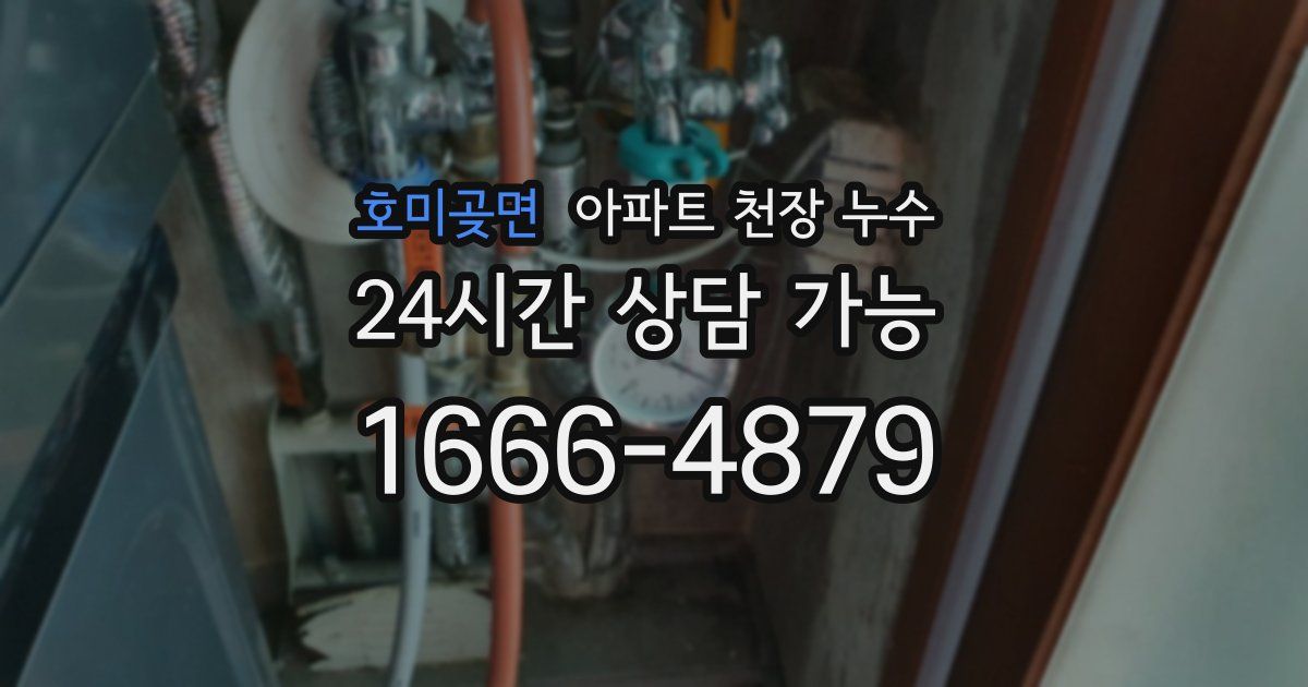 호미곶면 아파트 천장 누수