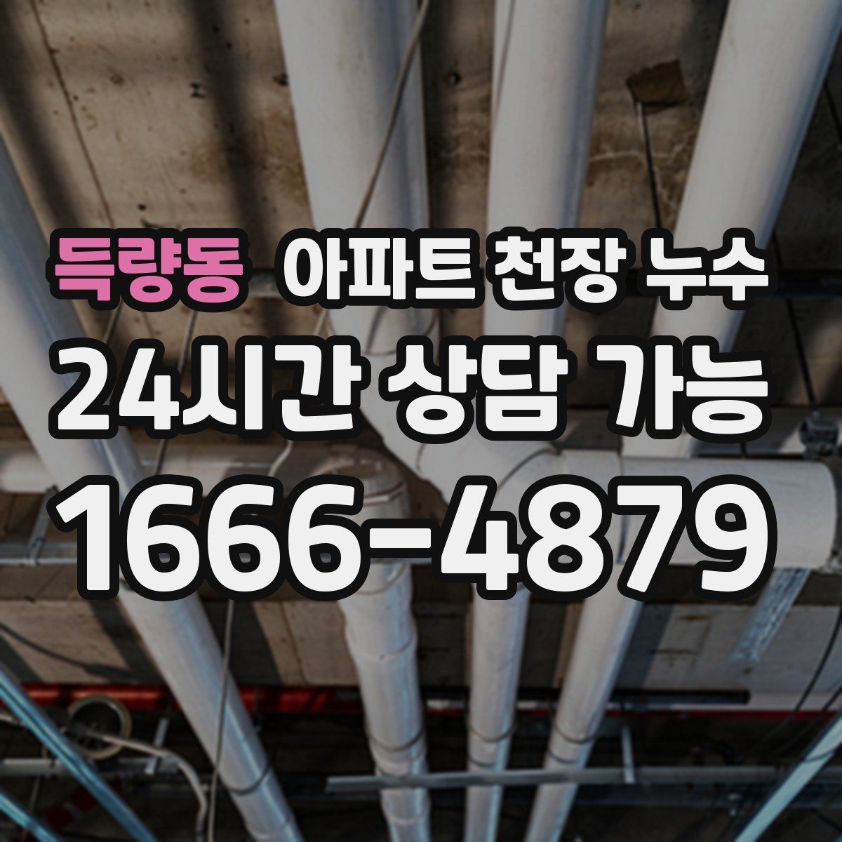 득량동 아파트 천장 누수