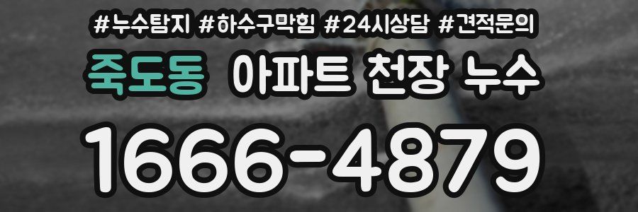 죽도동 아파트 천장 누수