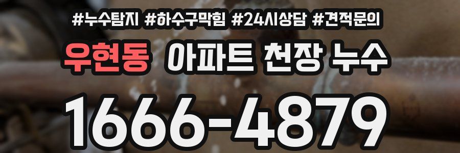 우현동 아파트 천장 누수