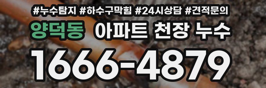 양덕동 아파트 천장 누수