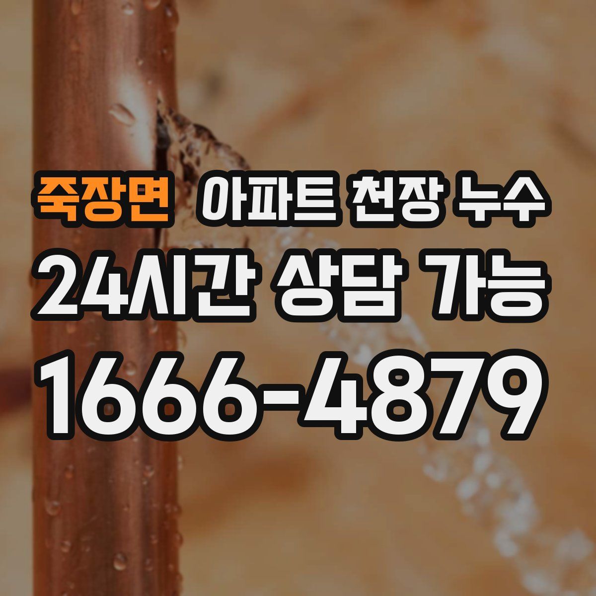 죽장면 아파트 천장 누수