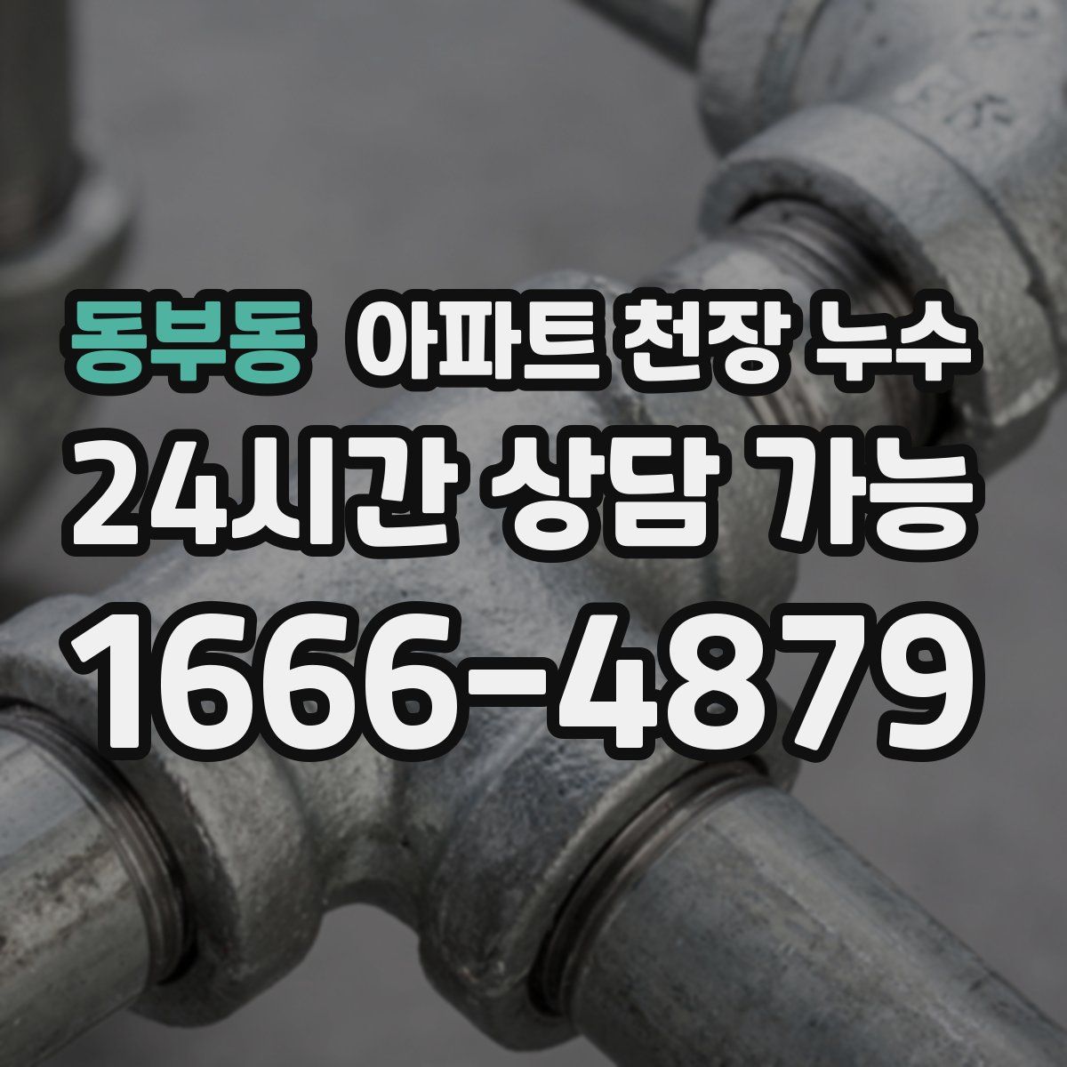 동부동 아파트 천장 누수