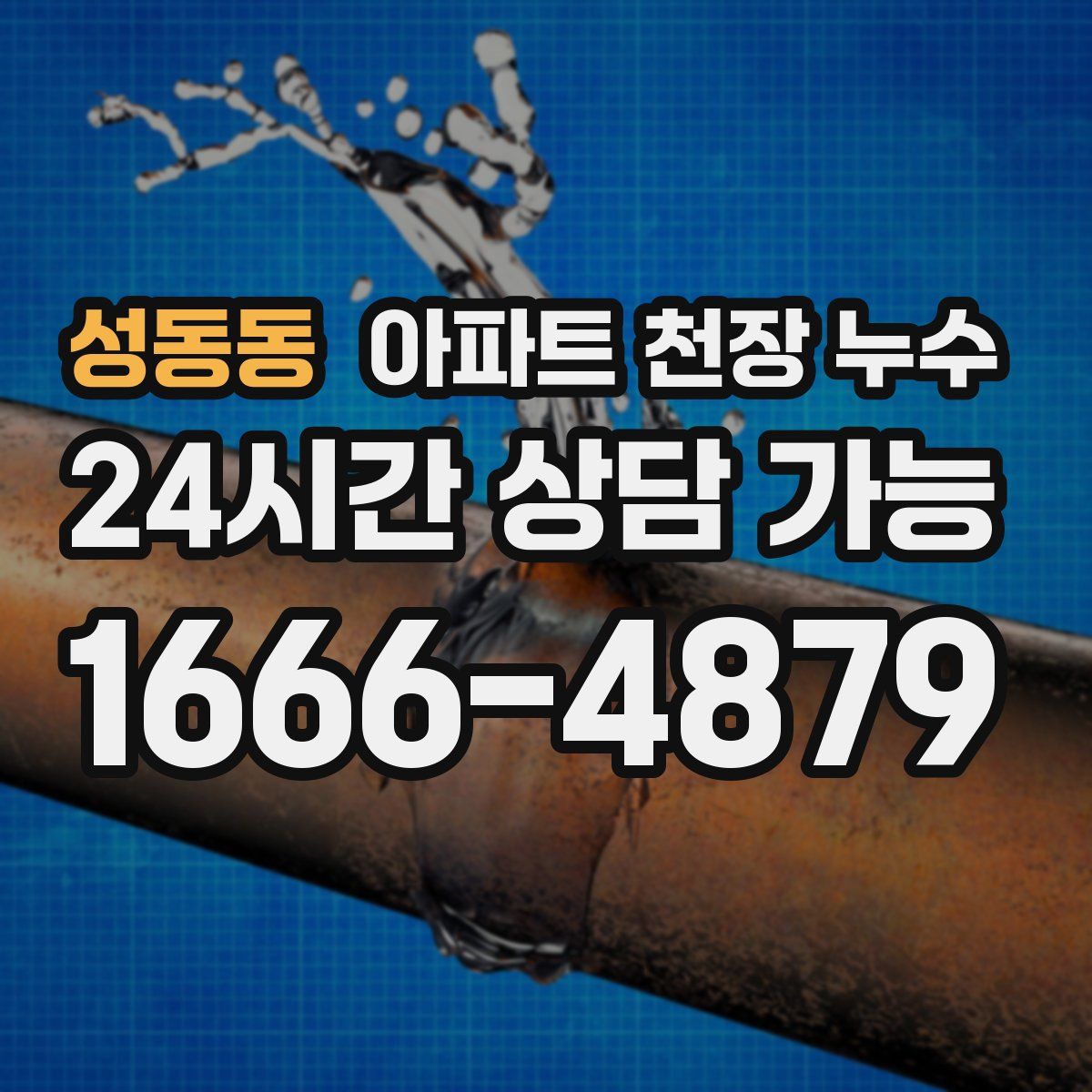 성동동 아파트 천장 누수