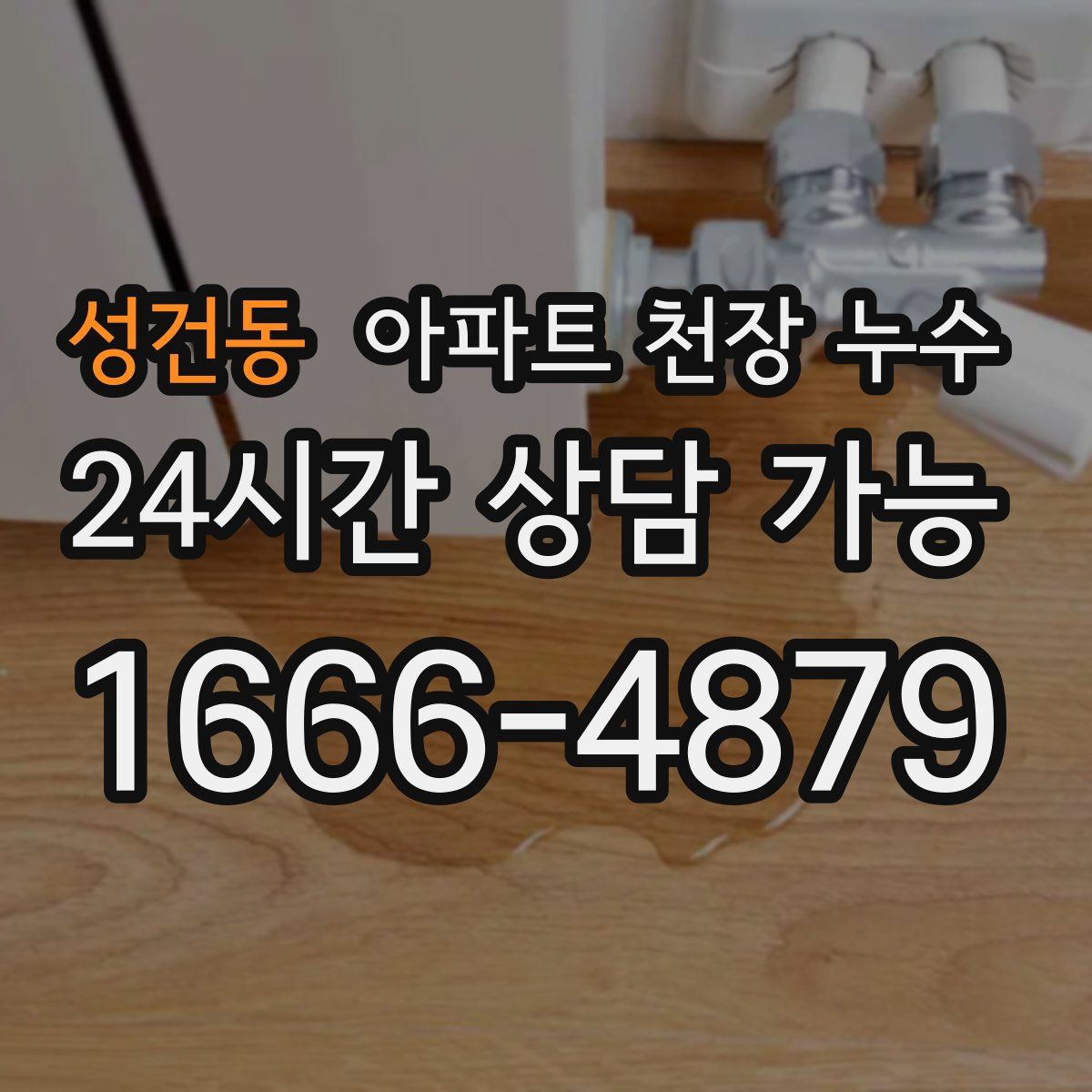 성건동 아파트 천장 누수