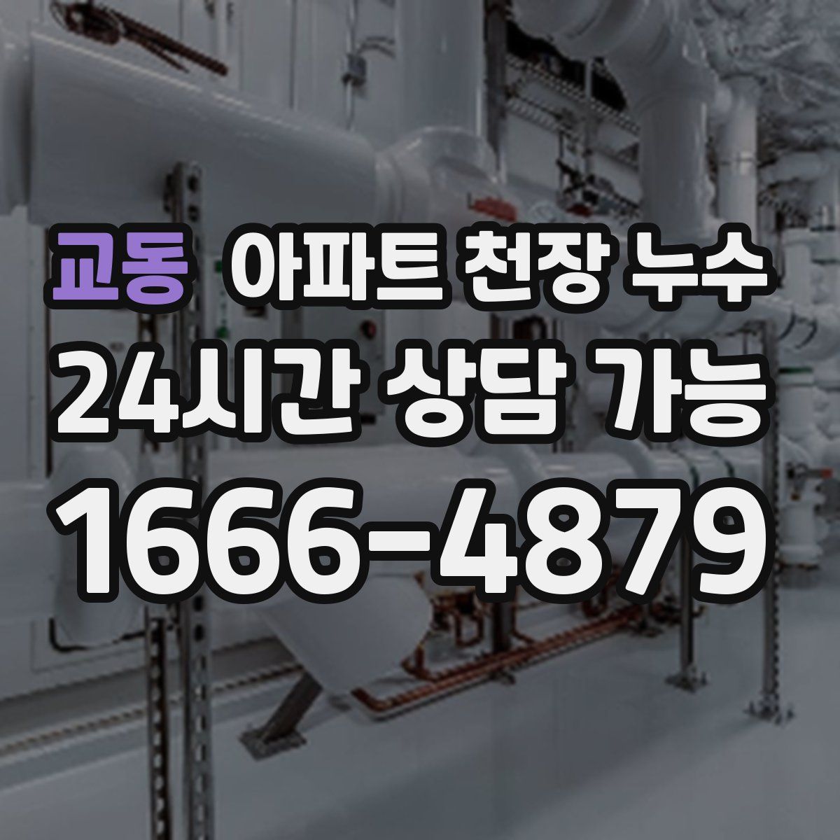 교동 아파트 천장 누수