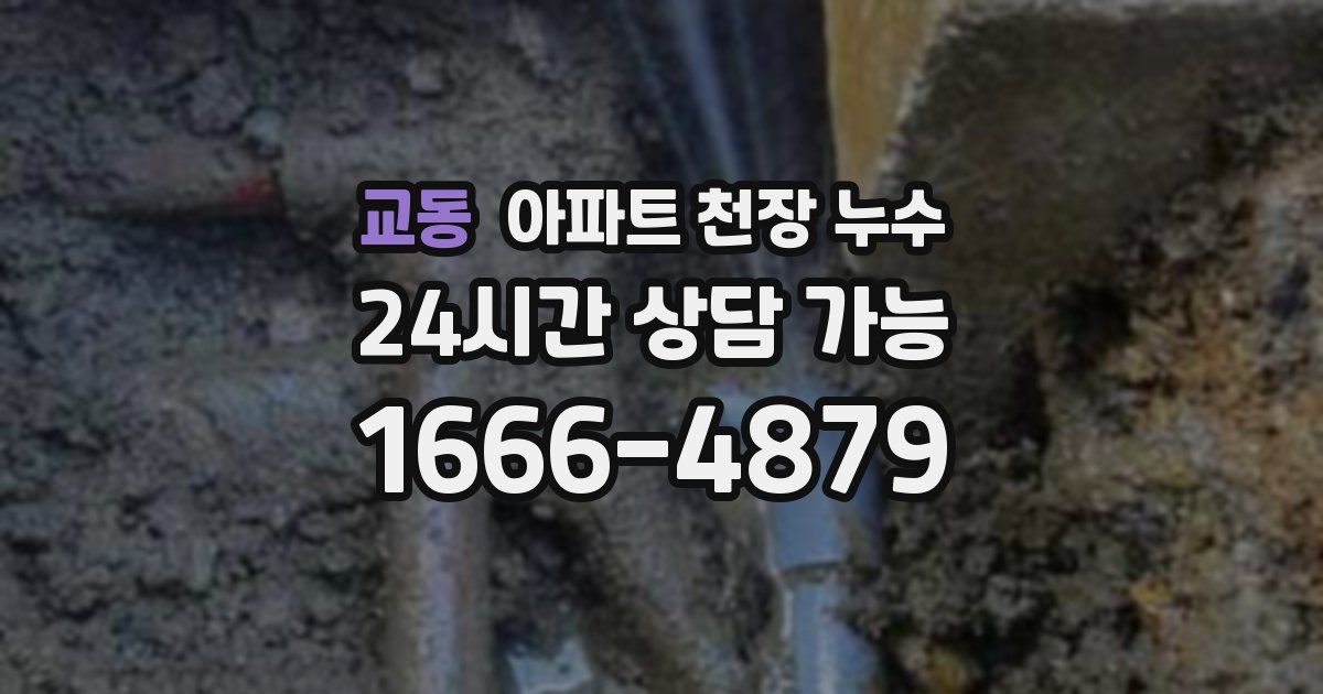 교동 아파트 천장 누수