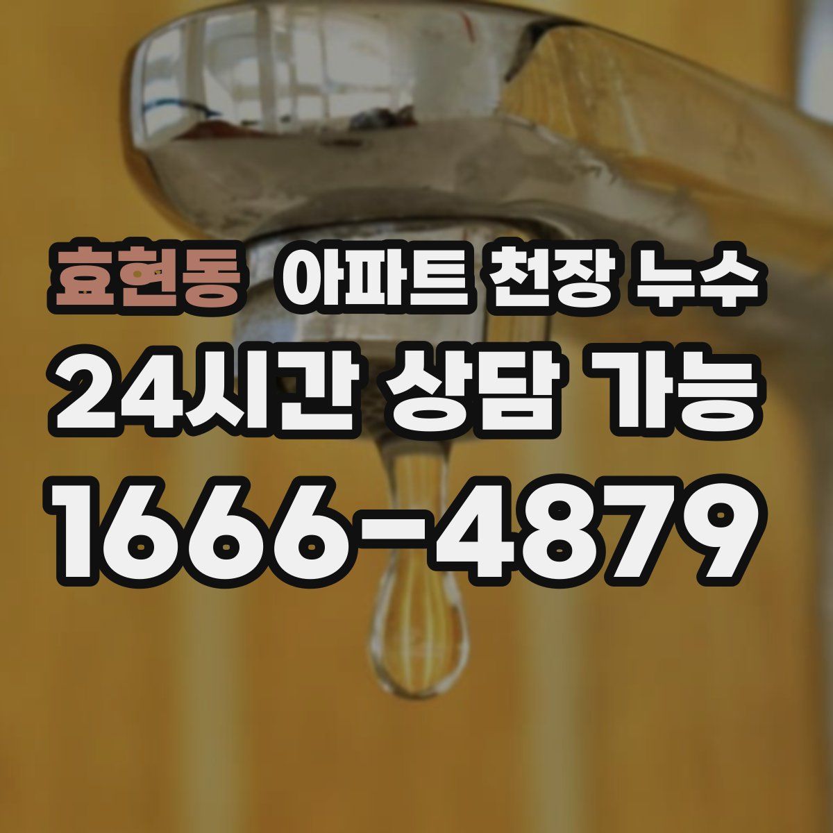 효현동 아파트 천장 누수