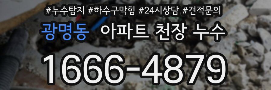광명동 아파트 천장 누수