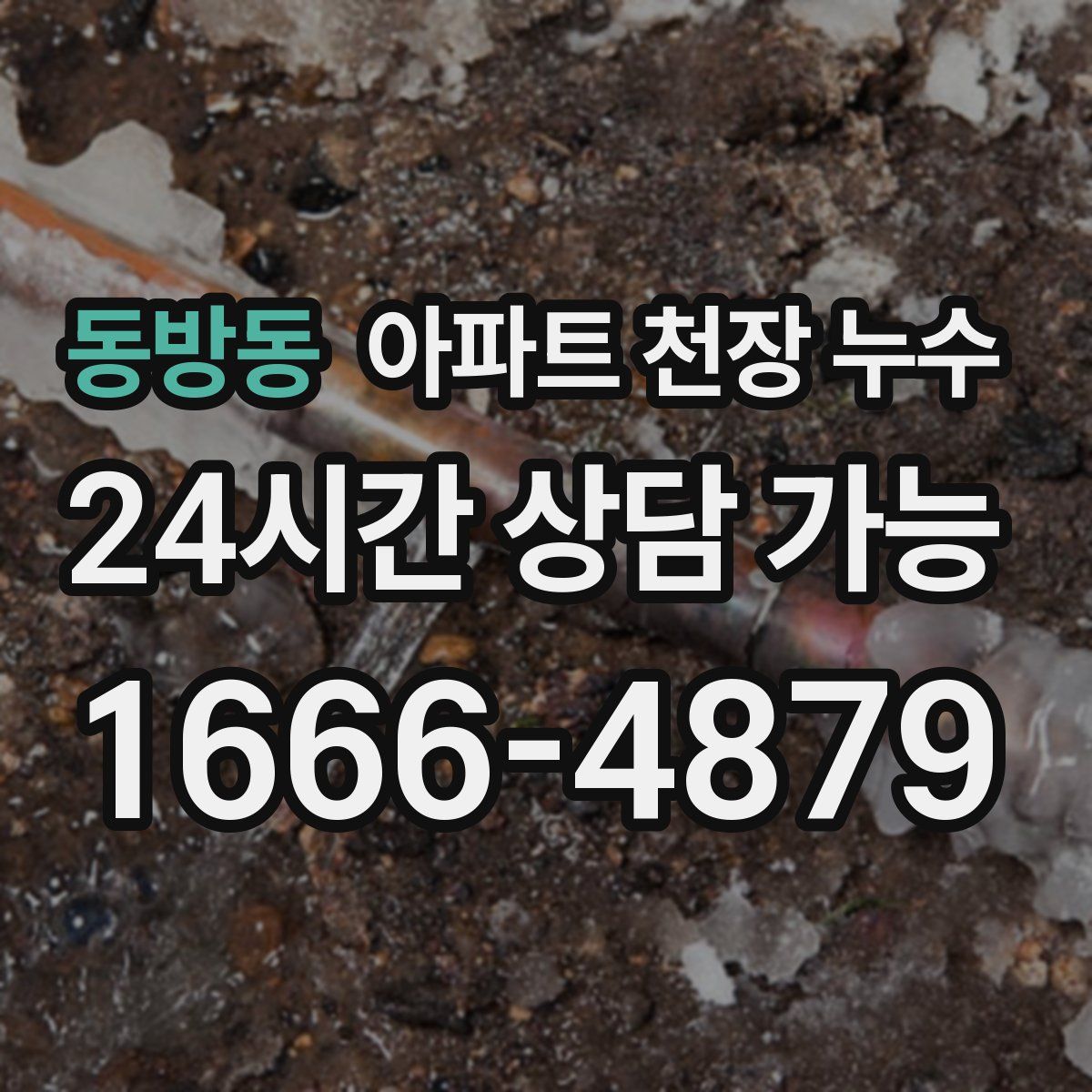 동방동 아파트 천장 누수