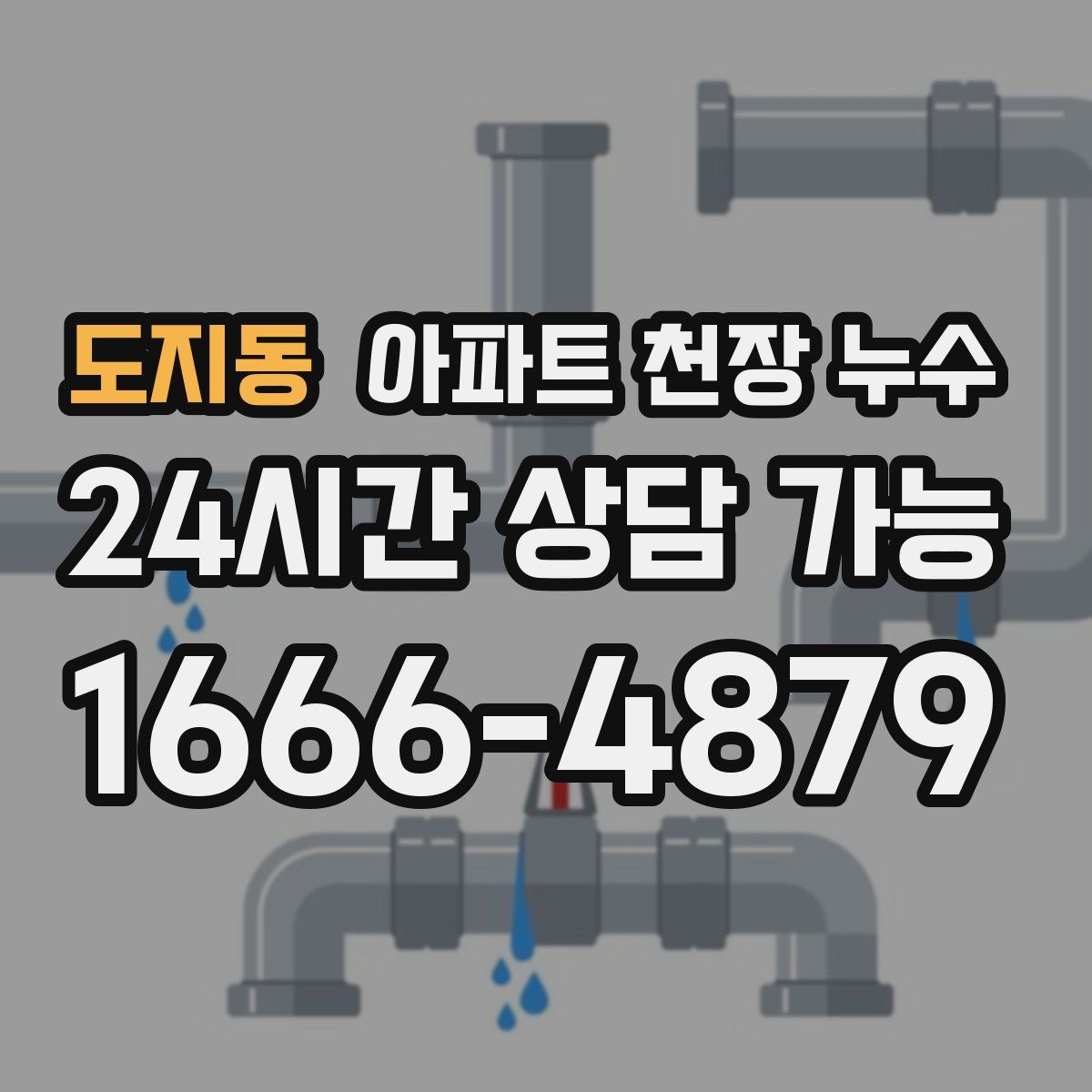 도지동 아파트 천장 누수