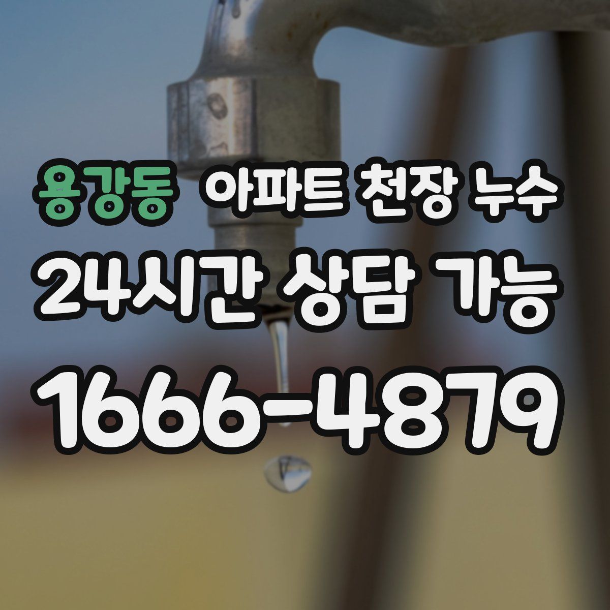 용강동 아파트 천장 누수