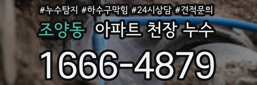 조양동 아파트 천장 누수