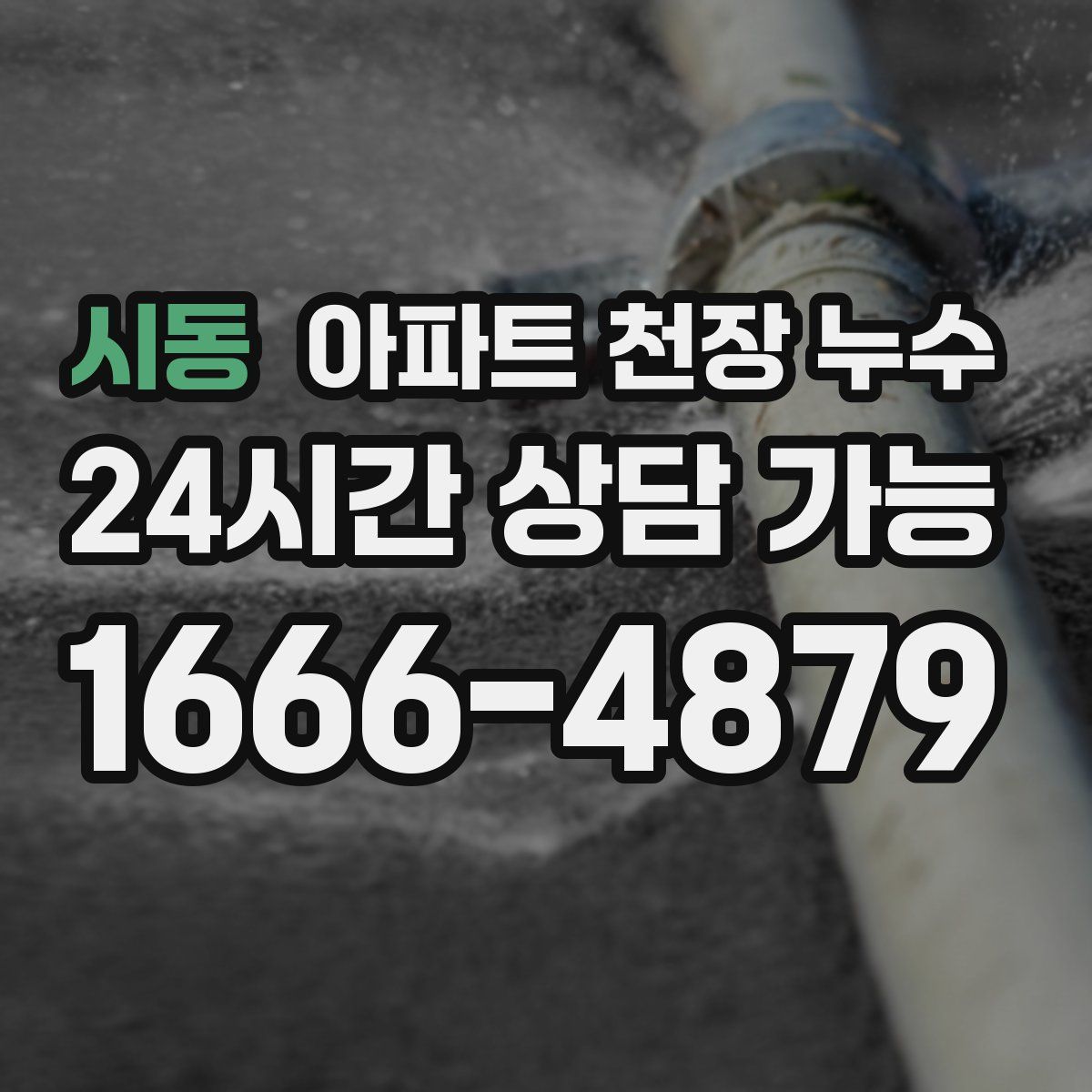 시동 아파트 천장 누수