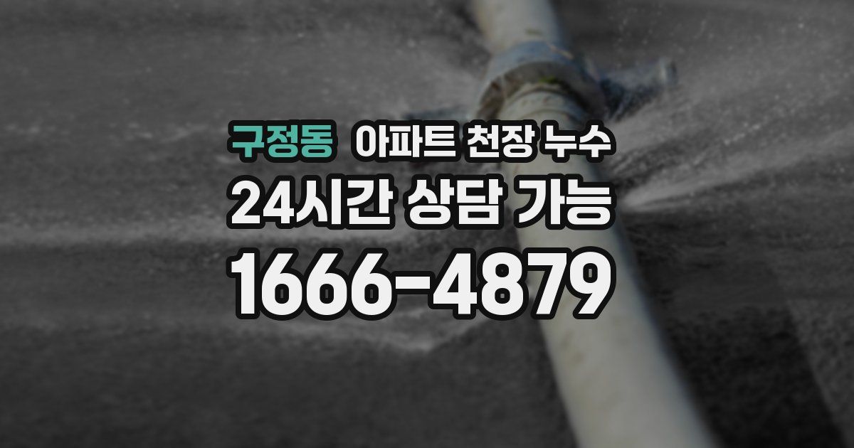 구정동 아파트 천장 누수