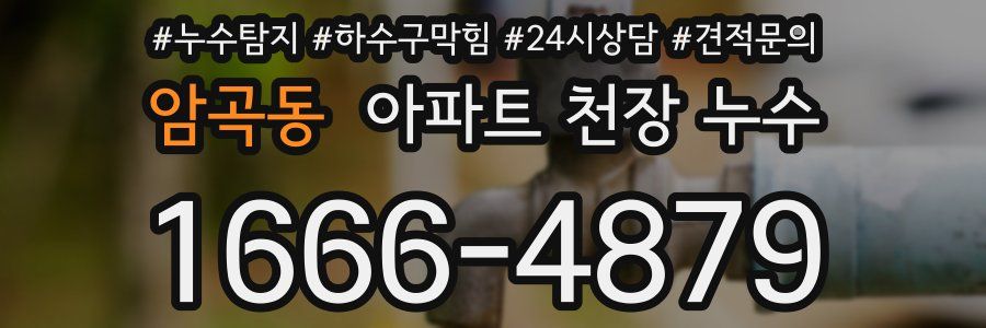 암곡동 아파트 천장 누수