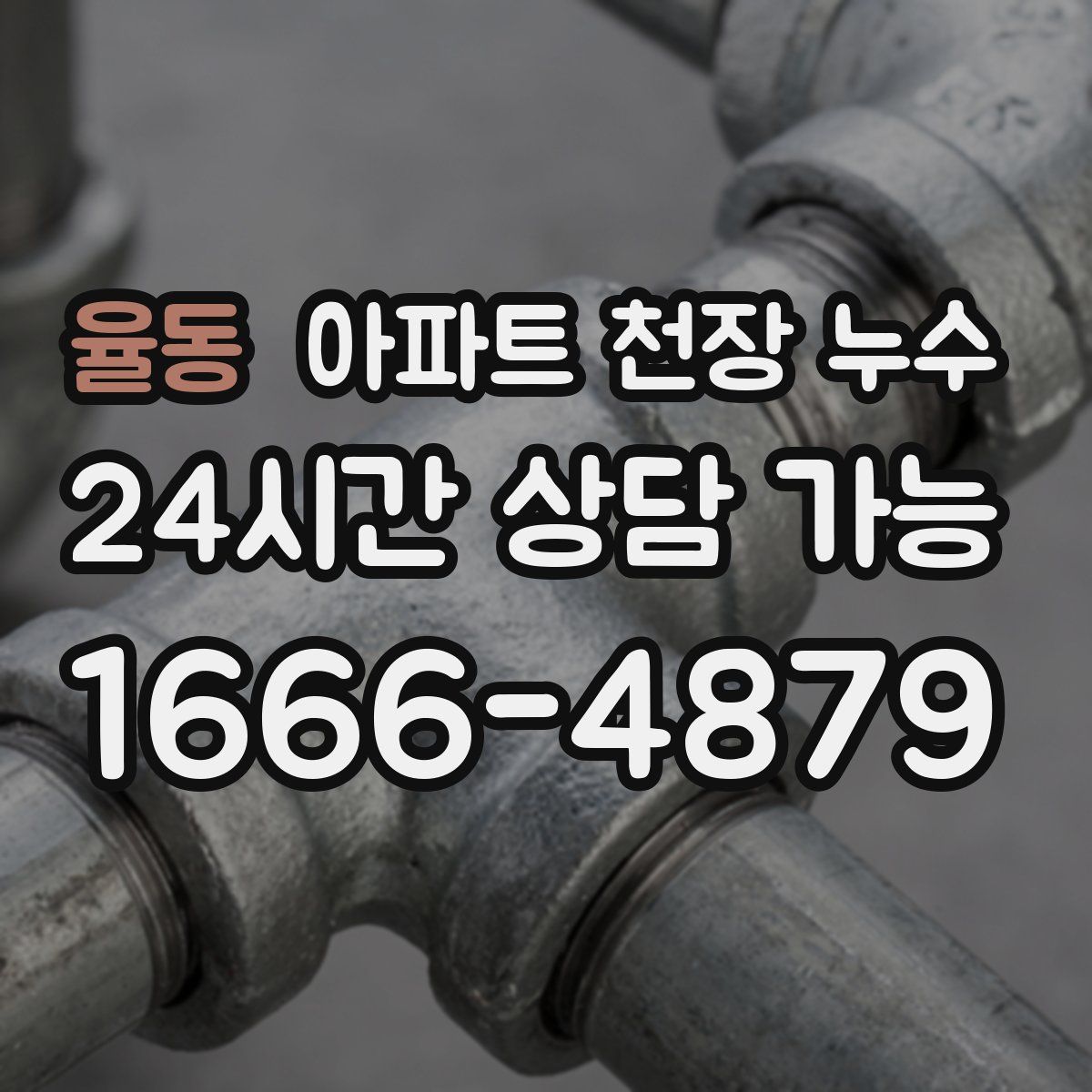 율동 아파트 천장 누수