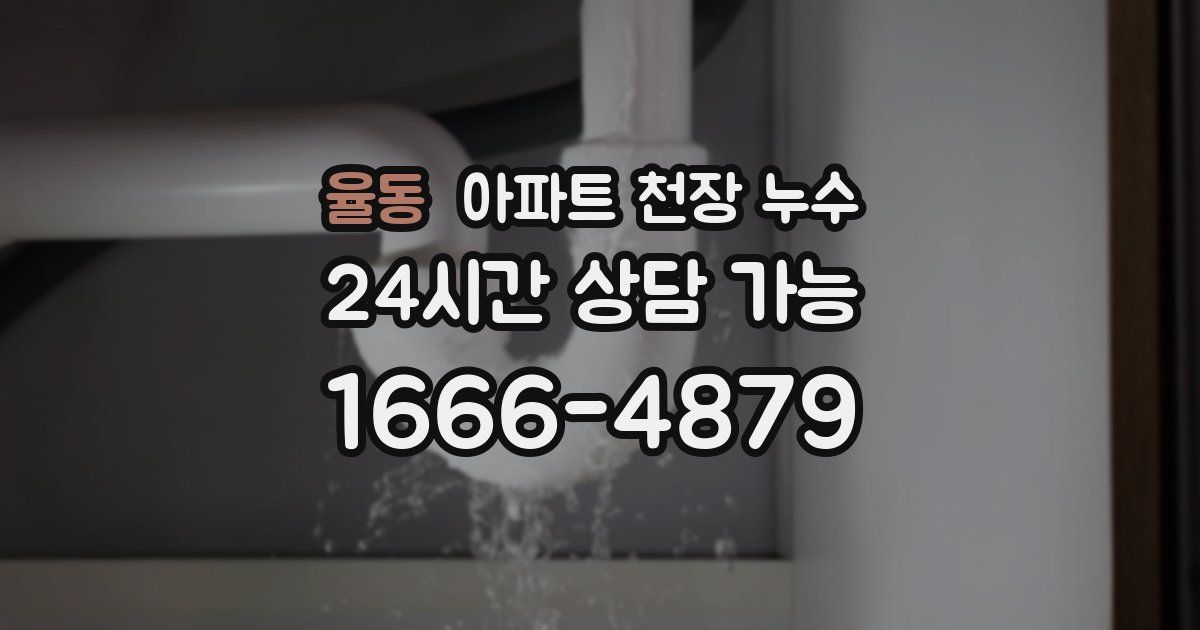 율동 아파트 천장 누수