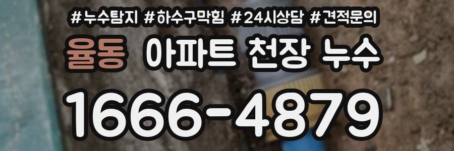 율동 아파트 천장 누수