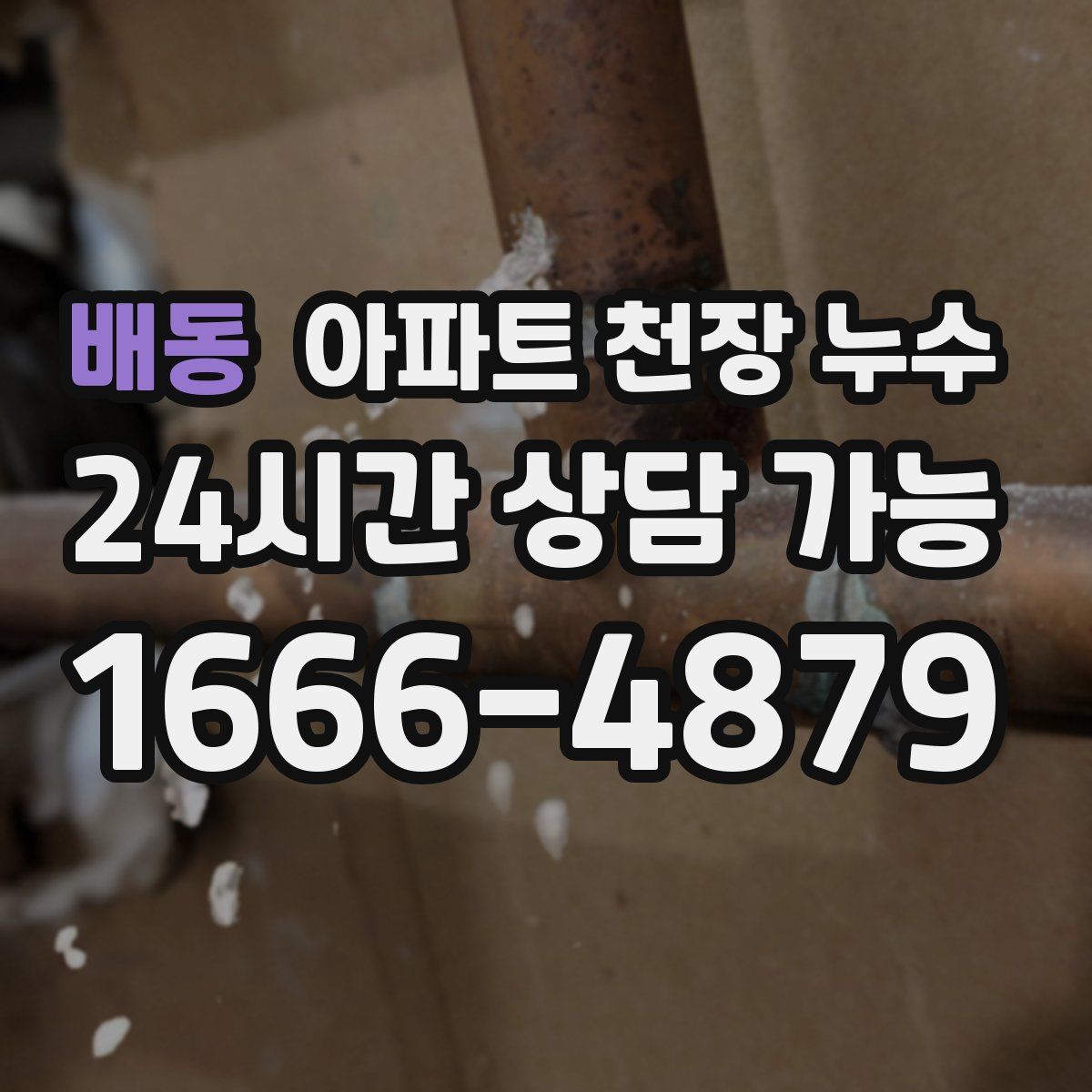 배동 아파트 천장 누수