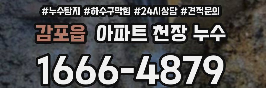 감포읍 아파트 천장 누수