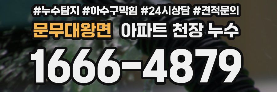 문무대왕면 아파트 천장 누수