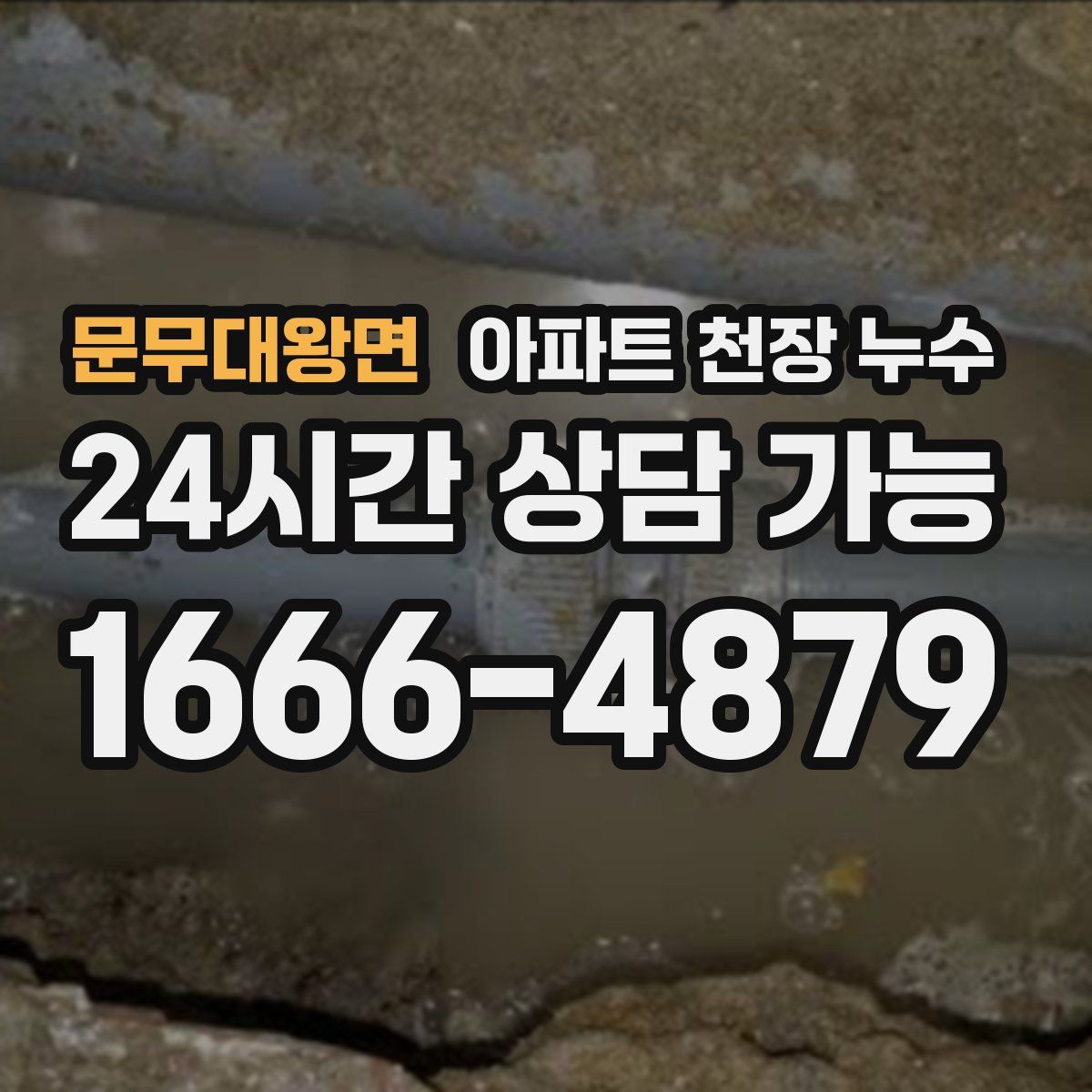 문무대왕면 아파트 천장 누수