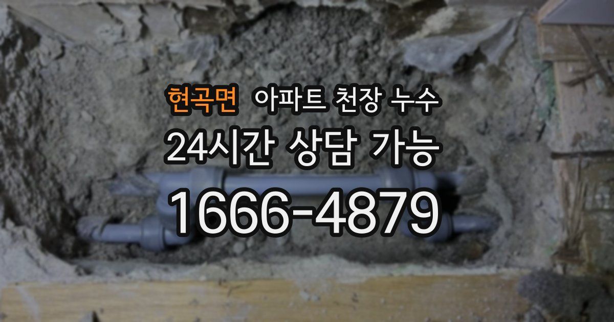 현곡면 아파트 천장 누수