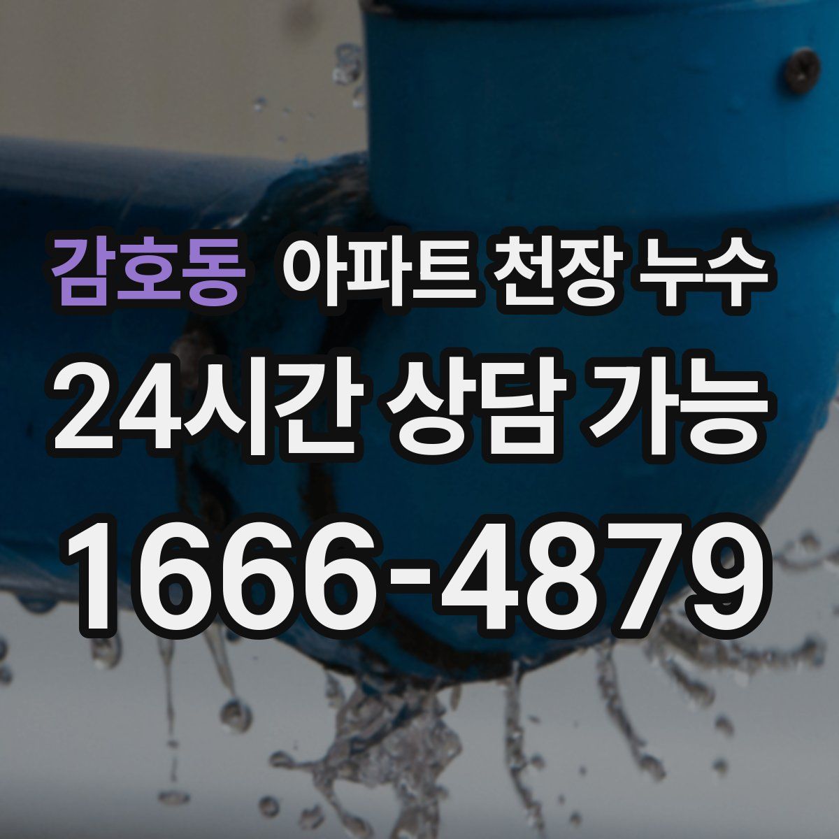 감호동 아파트 천장 누수