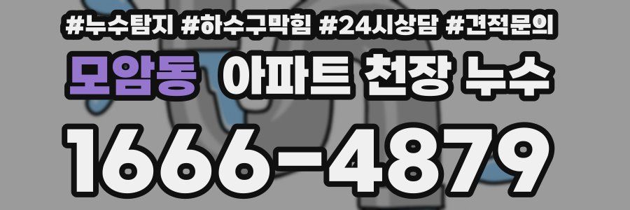 모암동 아파트 천장 누수