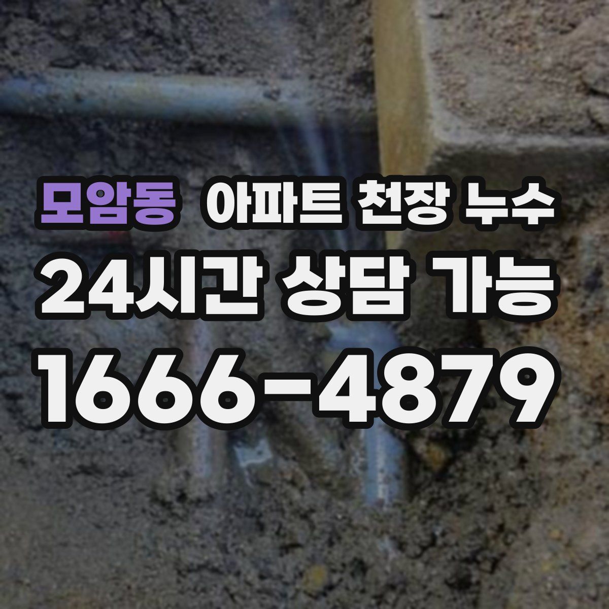모암동 아파트 천장 누수