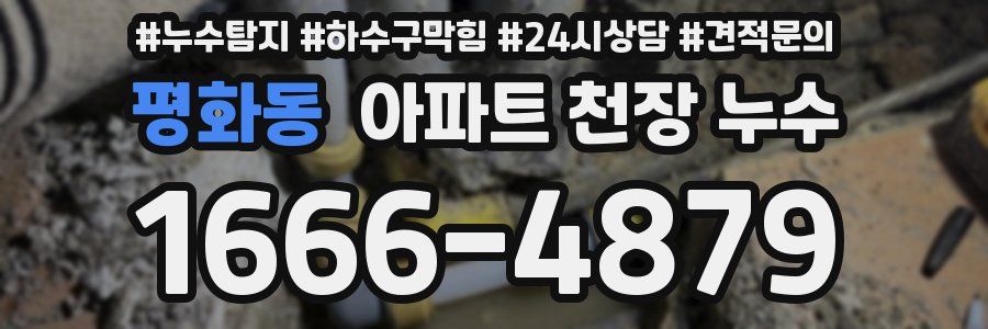 평화동 아파트 천장 누수