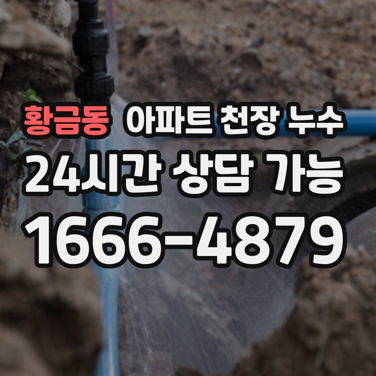 황금동 아파트 천장 누수
