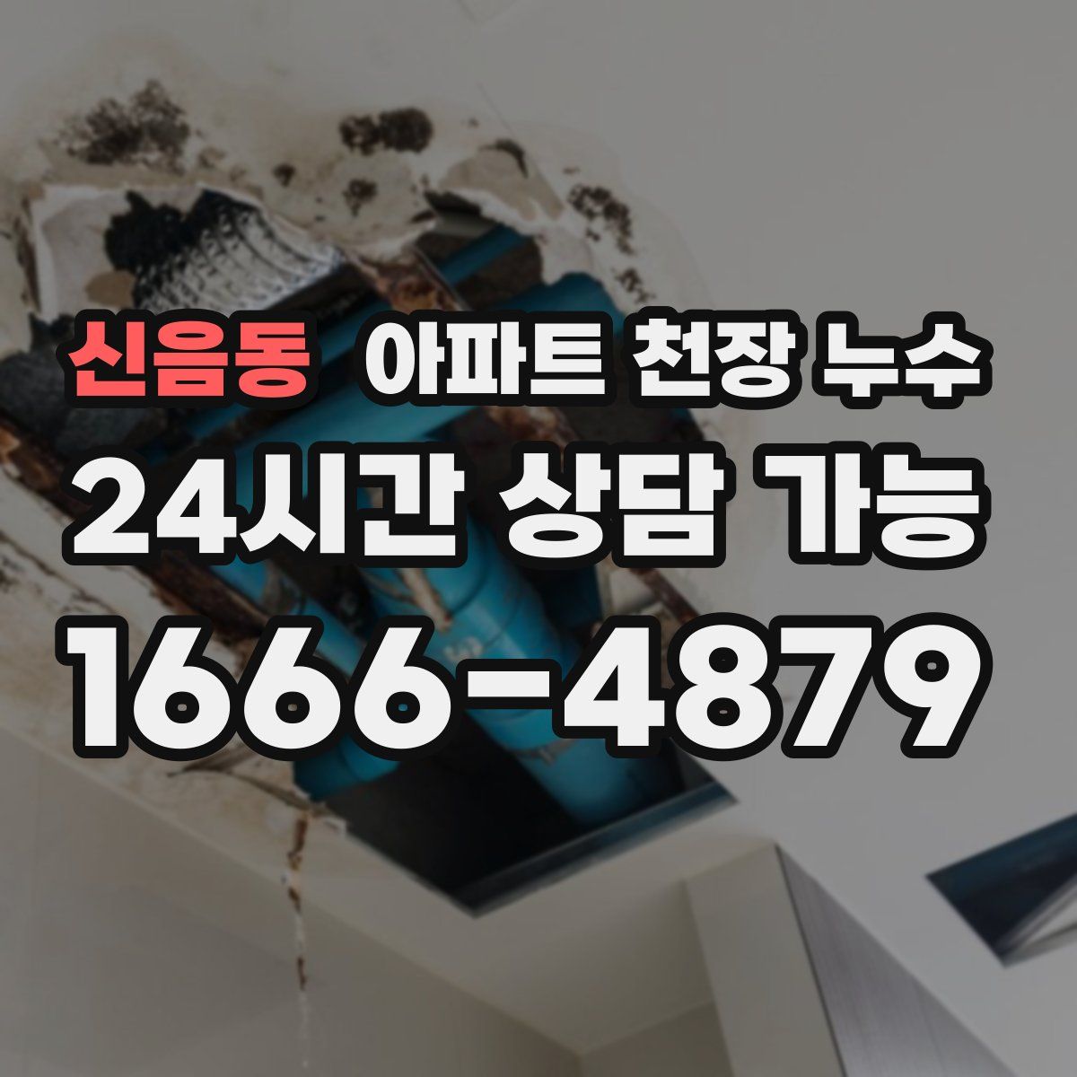 신음동 아파트 천장 누수
