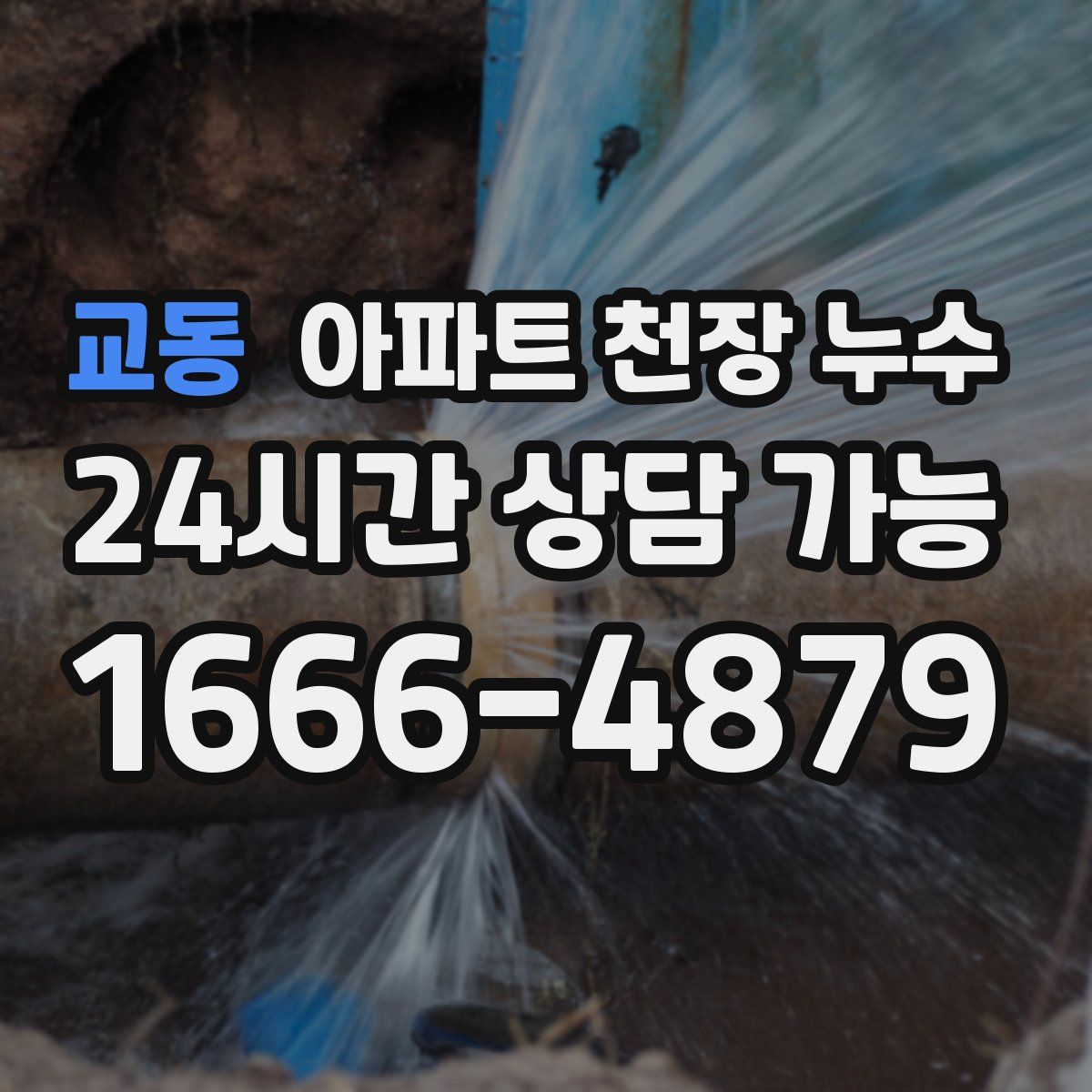 교동 아파트 천장 누수